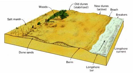 Dunes 7 Equilibrium Profile Profile of a beach in balance Source = Supply for longshore and