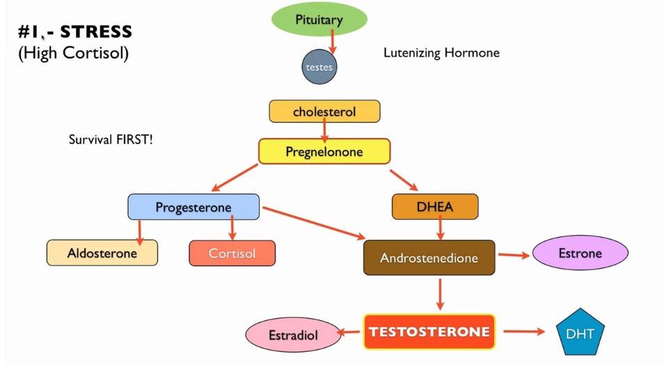 Symptoms of Low Testosterone Symptoms of low testosterone include low energy, fatigue, and lethargy, kind of like a loss of mojo; decreased strength and work capacity; low sexual desire; lack of