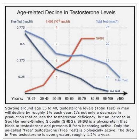 Here s another chart that shows declines in total testosterone, free testosterone. Big declines there but look at this: huge increase in SHBG, which is the sex hormone binding globulin.