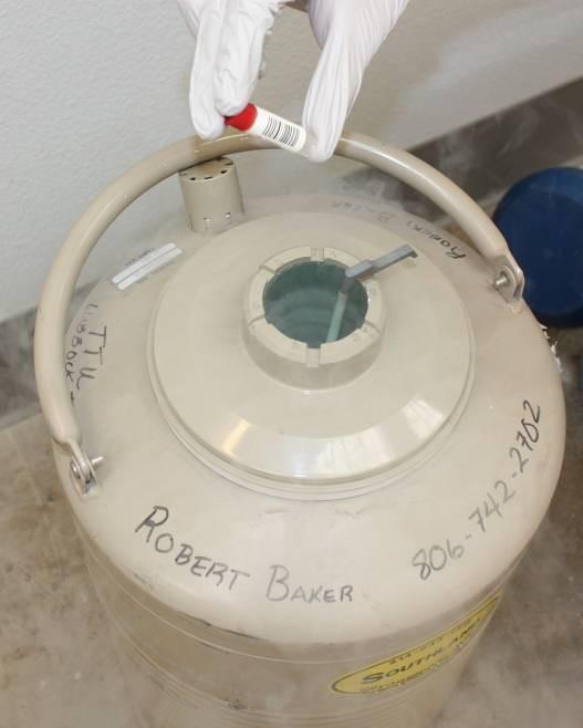Heart, liver, kidney, lung, spleen, muscle, and blood samples typically are collected, placed in tubes, and stored in liquid nitrogen in the field.