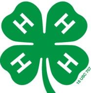 4 H Horse Record (One record per horse) The 4 H Horse Record is a summary of your Horse Project for the current 4 H year. Fill out a new record each year. Keep your record neat, clean, and up to date.