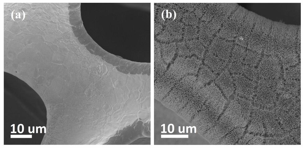 Fig. S2 FE-SEM images of (a) Bare Ni
