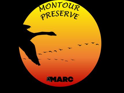 Montour Preserve News V O L U M E 3, I S S U E 1 S P R I N G 2 0 1 8 S P E C I A L P O I N T S O F I N T E R E S T : Nature Watch Nature Watch Sky Watch Spring Programs Other Preserve Information.