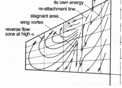 Comparison of Wind Tunnel and Flight Observed Flow
