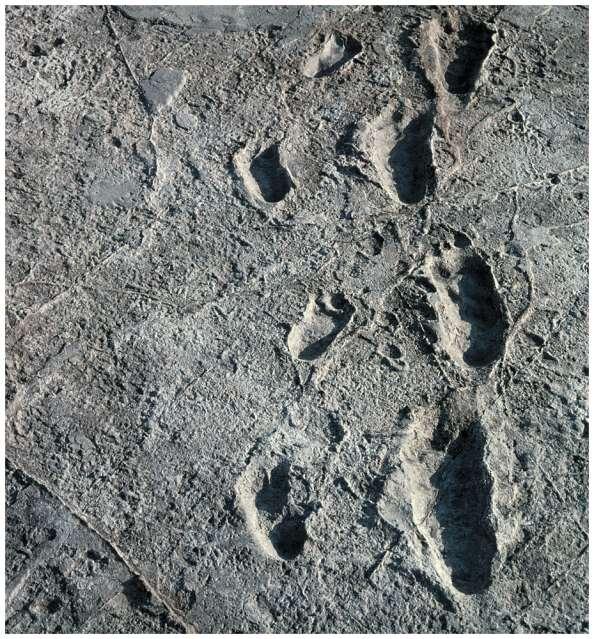 Laetoli Footprints,
