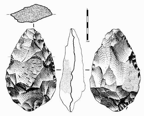 H. habilis was found with simple stone