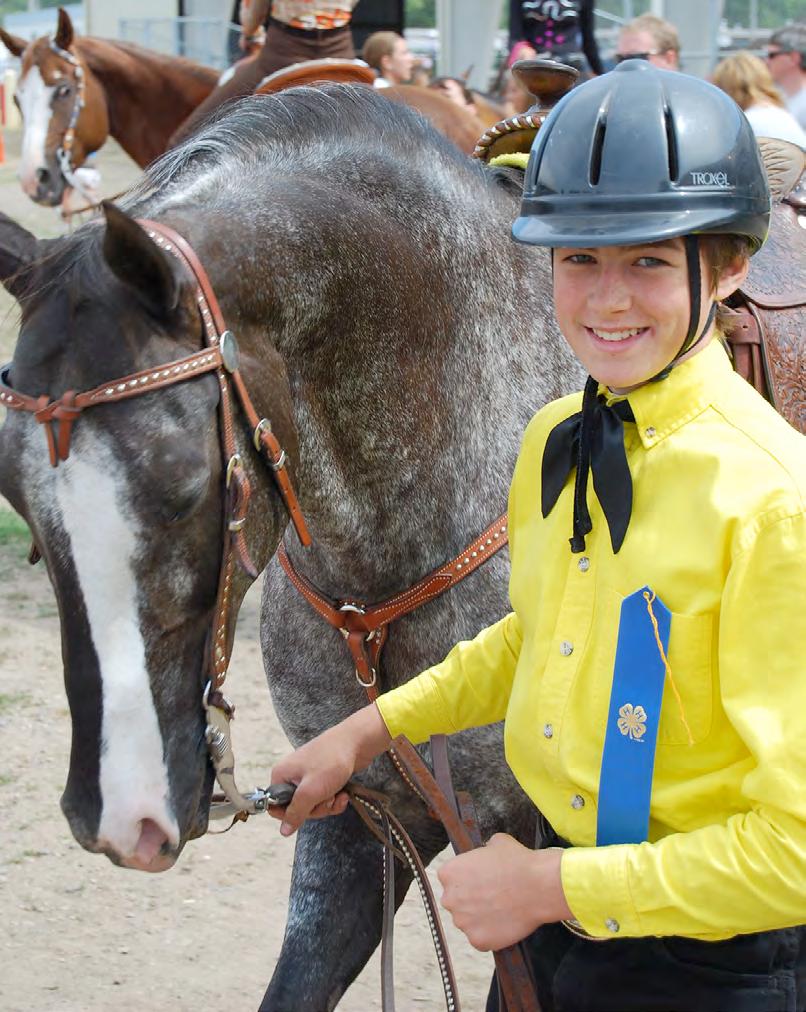 THE PNW 4-H HORSE CONTEST GUIDE A Pacific