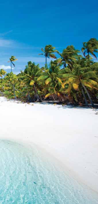 Captain Tama s Lagoon Cruise DAY TOUR FROM 44 PER ADULT Cook Islands Join a tour of the inner lagoon of Rarotonga with Captain Tama s, where you will be