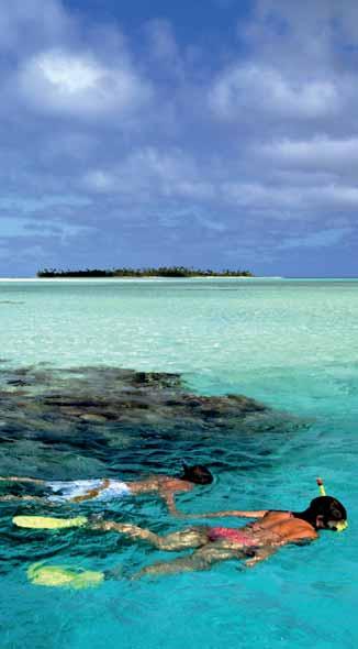 FROM 64 PER ADULT Hilton Bora Bora Snorkelling Tour Day tour from 80 per adult The best way to explore marine flora and fauna on a trip for swimmers of all