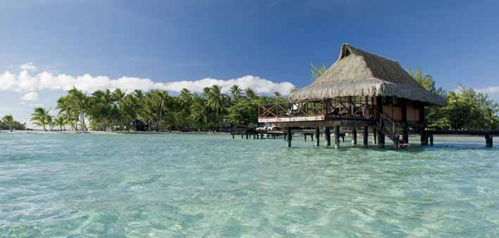 Bungalows on the beach have spacious decks with hammocks facing the lagoon, whilst the Overwater Bungalows are home to aquarium tables where you can observe and feed the multitude of exotic
