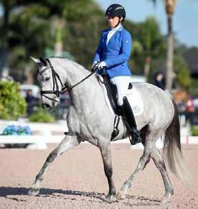 Fauna, an FEI quality 2011, Oldenburg mare, has fantastic gaits and an impressive show record.