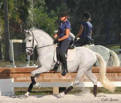Lateral work comes very easy to him, same as canter pirouettes.