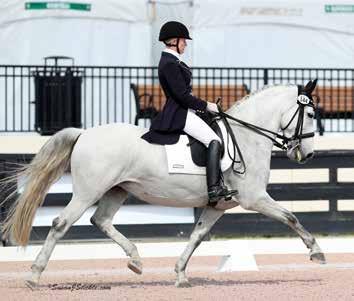 professional. She is schooling all of 3rd Level with changes and is extremely trainable, comfortable to sit and easy to ride.