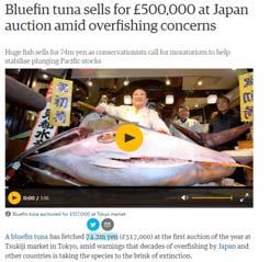 Fish are worth money The Guardian (5 January 2017) World capture