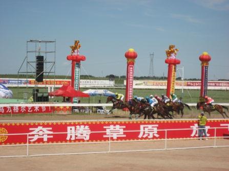 Chronicle of Mainland Racing Lower Level Local Meetings Xinjiang Autonomous Region Inner Mongolia Autonomous