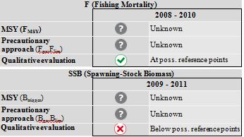 Whiting in Division VIa (West of Scotland) MSY: Catches in should be