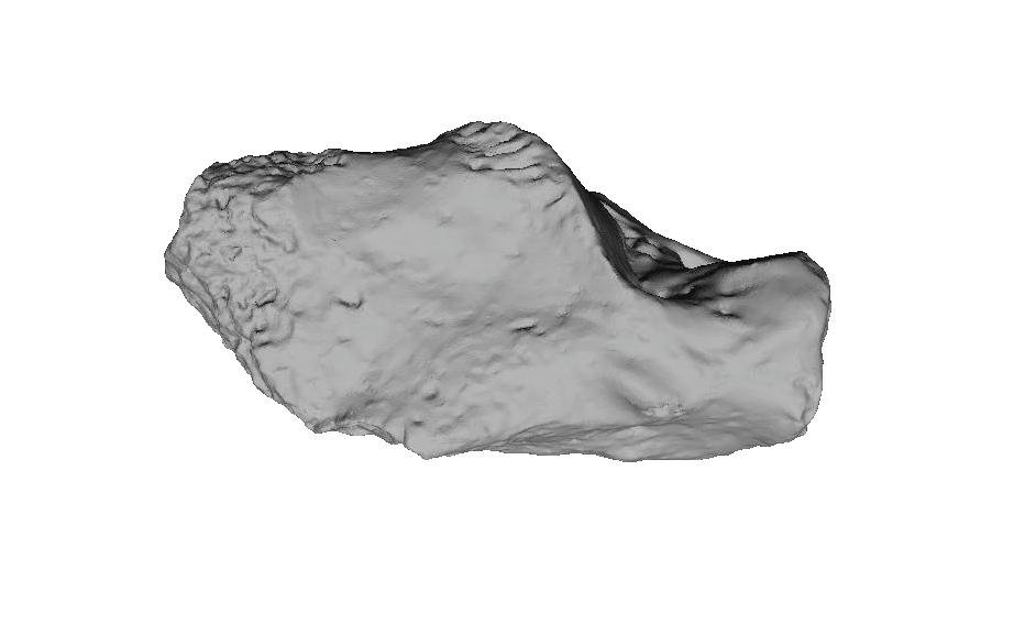 naledi first metatarsal head is expanded dorsally, a product of parallel oriented lateral and medial rims of the articular surface. In contrast, the chimpanzee head tapers dorsally. StW 562 (Au.