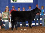 5 Smooth and sweet and bred in the purple, here is a hot Chiangus prospect ready for some tough competition.
