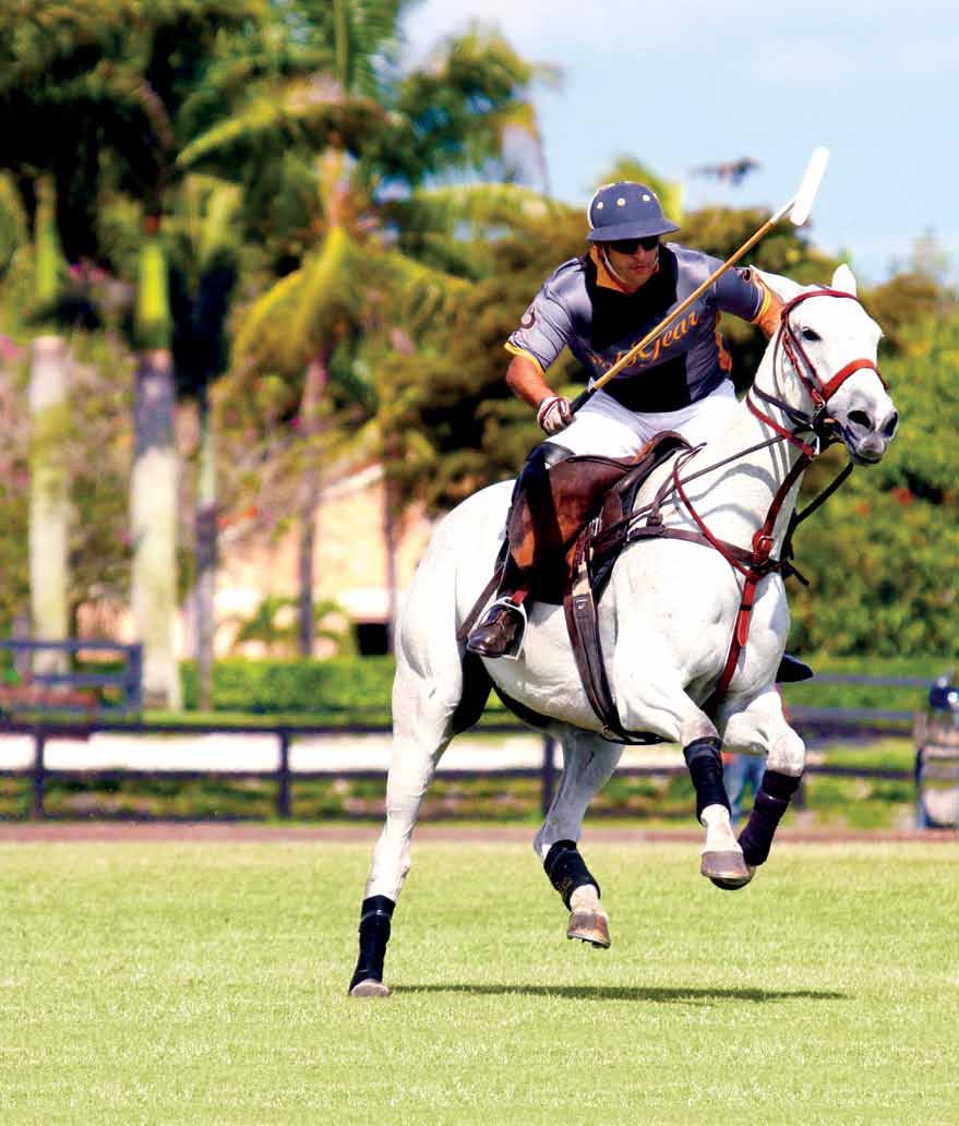 Page 3 The Morning Line Monday, August 11, 2014 Fall Polo in Palm beach? Yes!