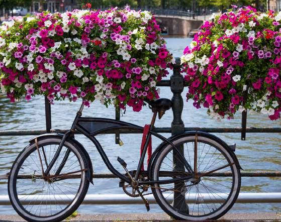 With more than 25,000 miles of dedicated bicycle routes, the Dutch have truly made cycling a way of life.