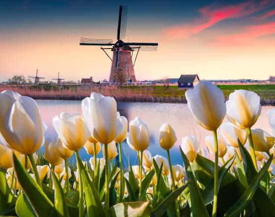 Our journey begins with two nights in Amsterdam with time to explore this beautiful capital of the Netherlands.