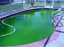 Common Problems Murky or dirty pool water Inadequate filtration