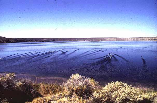 Meromixis Big Soda Lake NV Meromictic lakes circulate sometimes but not
