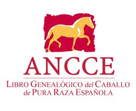 1. Definition APPENDIX I SPECIFIC PUREBRED SPANISH HORSE For the effects of this current legislation, the Purebred Spanish Horse (hereinafter PRE) is described as (the breed) registered in the Stud