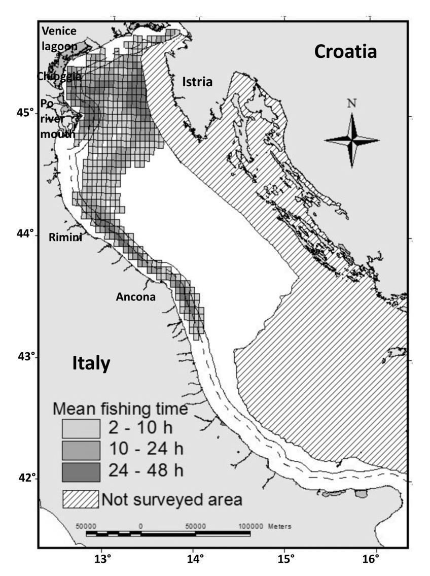 Figure 2 Spatial distribution of Italian rapido trawl fishing effort.