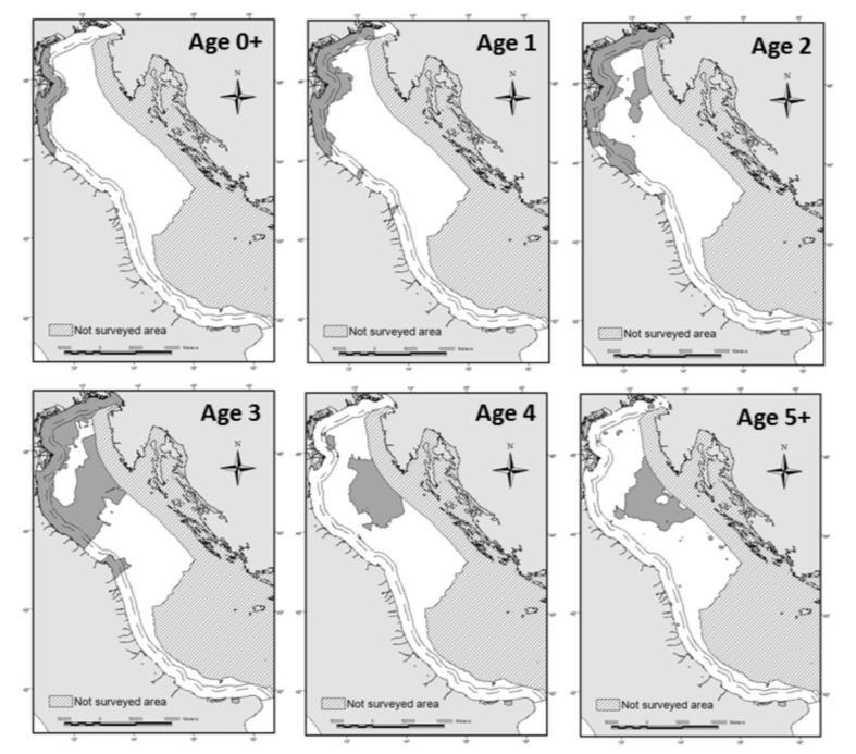 4.1.1 Spatial distribution of the resources According to data collected during SoleMon surveys (Scarcella et al.