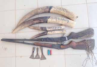 He had his father s rifle in his possession; his father had been arrested in 2015 for poaching and illegal detention of tusks.