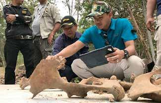 THAILAND January 4, 2017 Hua Hin, Prachuap Khiri Khan Province, Thailand Excavations 3 meters deep and in 5 different places inside the Moo Baan Chang elephant village.
