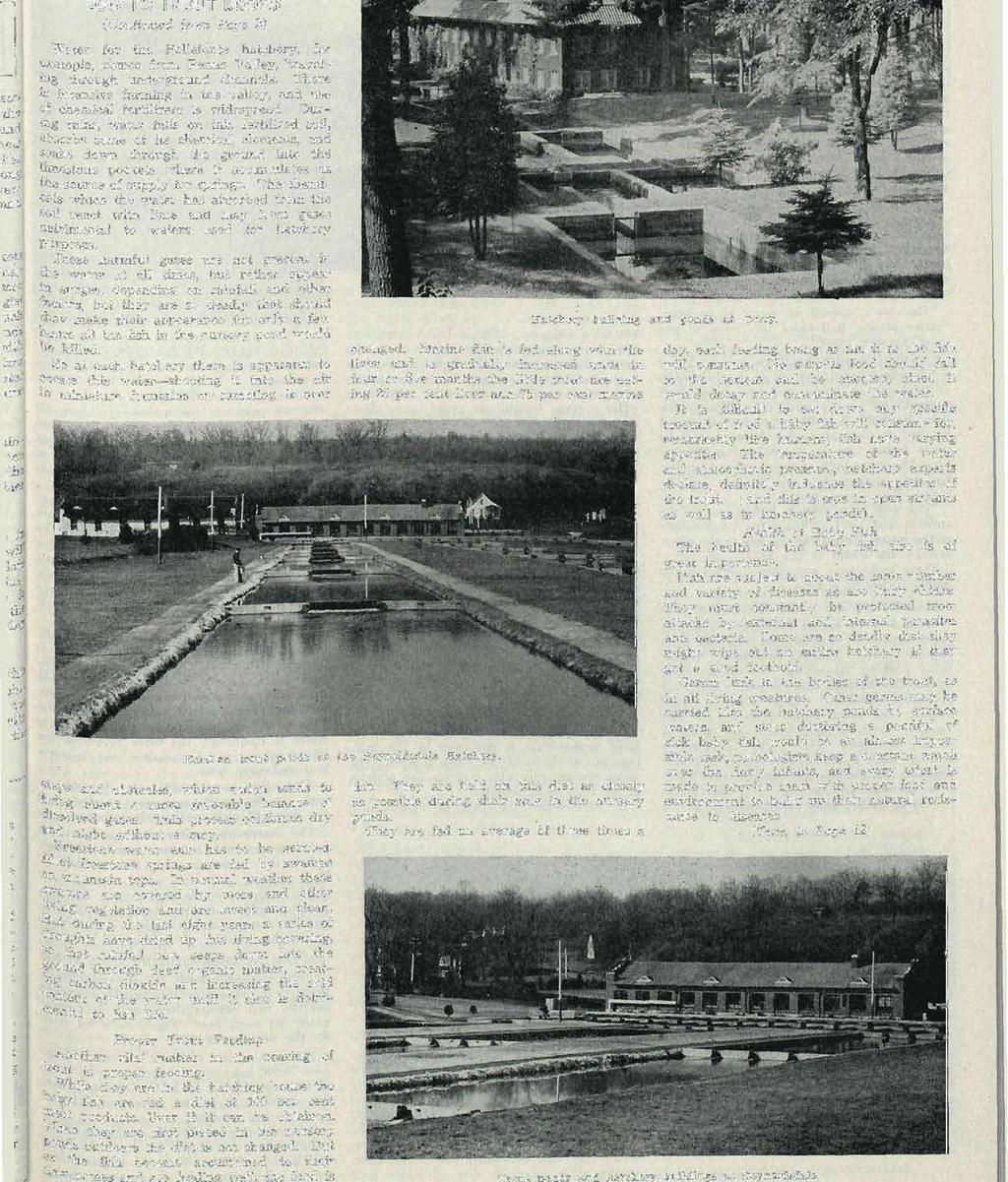 CH 1947 PENNSYLVANIA ANGLER 11 EGG TO TROUT BROOK (Continued from Page 2) "Water for the Bellefonte hatchery, for example, comes from Penns Valley, "traveling through underground channels.