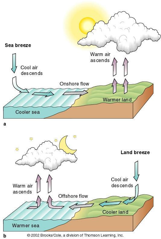 Top: Sea breeze created during the day by cool air sinking over the ocean and warm air rising over the land.