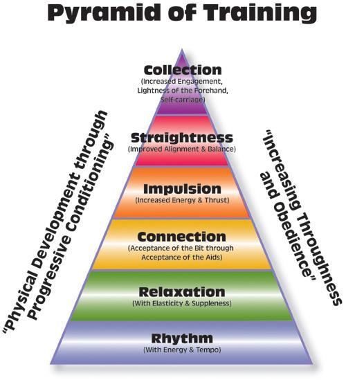 Training Pyramid Typically, dressage riders tend to categorize their skills in terms of levels - ITD, Training Level, First Level, Second Level, etc.