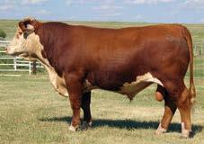 IMR 1246Y ADVANCE 5021C 43582248 Calved: March 09, 2015 Tattoo: BE 5021 HH ADVANCE 9075W ET {DLF,HYF,IEF} HH ADVANCE 7101T {CHB}{DLF,HYF,IEF} HH ADVANCE 1246Y {DLF,HYF,IEF} HH MISS ADVANCE 1028L