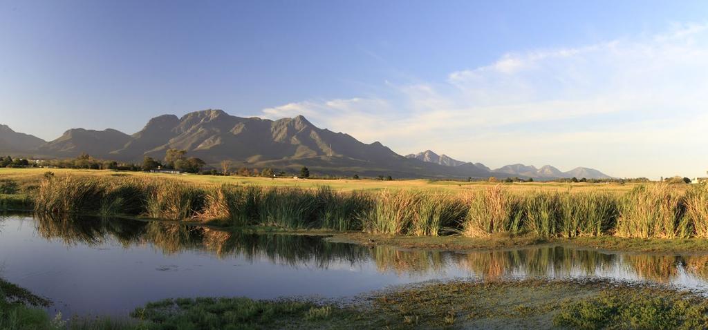 OPTION TWO This accommodates those members who are owners of a syndicated property share at Fancourt.