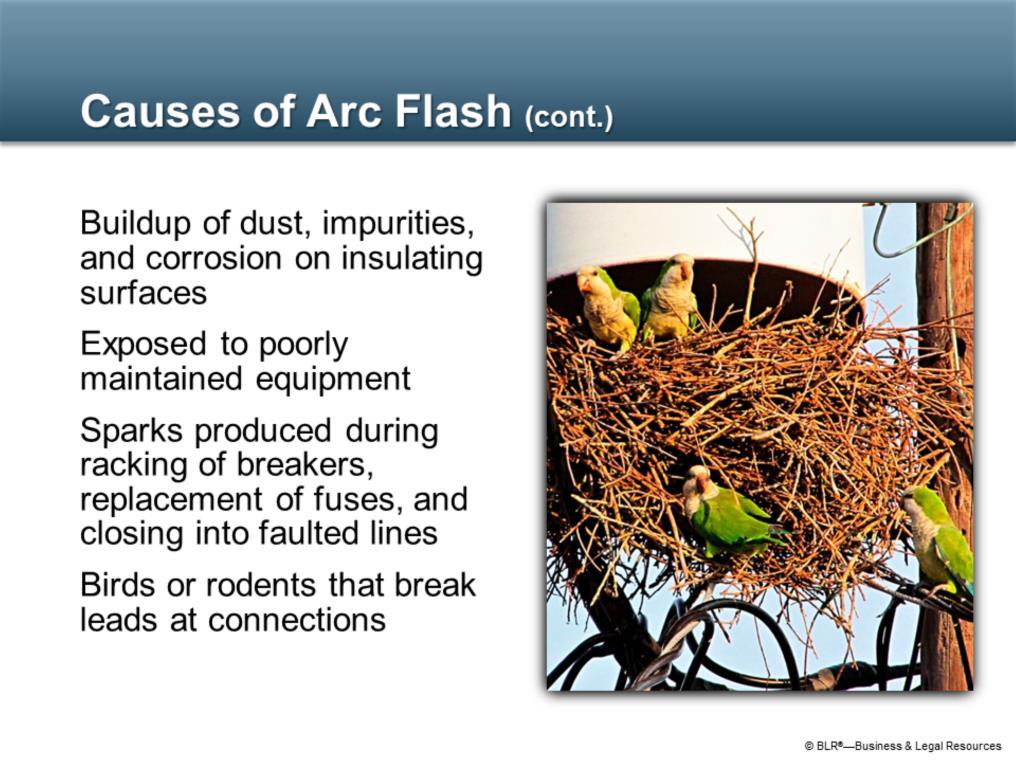 Here are some additional causes of arc flash: Buildup of dust, impurities, and corrosion on insulating surfaces, which can provide a path for a current; Exposed to poorly