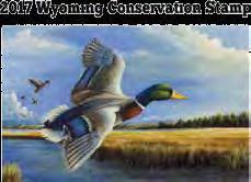 IMPORTANT HUNTING INFORMATION Atist: Andew Kneeland, Rock Spings, Wyoming Common violations CONSERVATION STAMP es and angles must puchase a consevation stamp to hunt and fish in Wyoming.