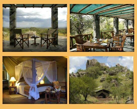 on safari (breakfast only in Nairobi) A private safari team, including driver/guide and TRIPS safari escort All park entrance fees and transfers between