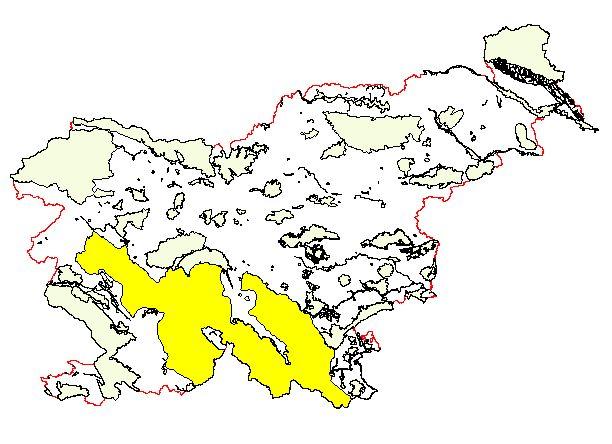 Natura 2000/Emerald for large carnivores In 2002, an action plan based on the Strategy was created for the Slovenian bear population.