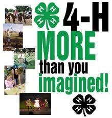 LEADERS NOTES 4-H Days is on February 10th this year. Encourage members to make plans now! Entries due to office January 29.