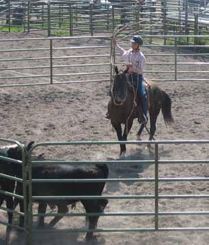 Oregon 4-H Ranch Horse Contest Guide The Oregon 4-H Ranch Horse competition consists of the following six classes: Ranch Horse Showmanship Working Ranch Horse Ranch Horse Trail Cow Working Ranch