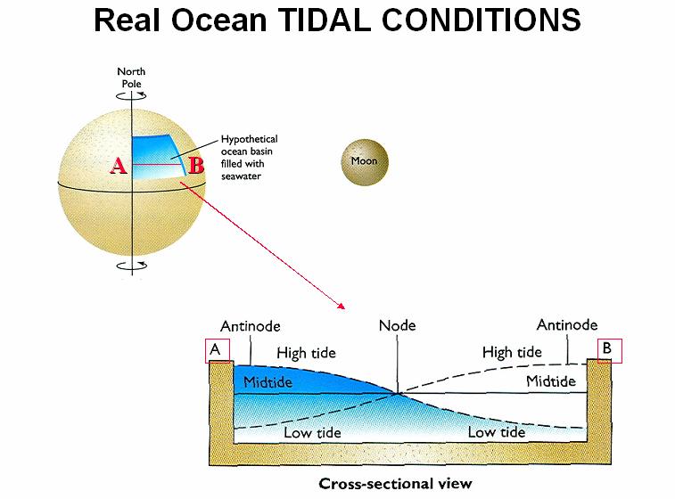 Thus the astronomical tidal forcing creates a standing tidal wave in our idealized ocean basin that is meant to model the Atlantic Ocean. (ItO) Rotary Standing TIDAL Wave B A Figure 22.