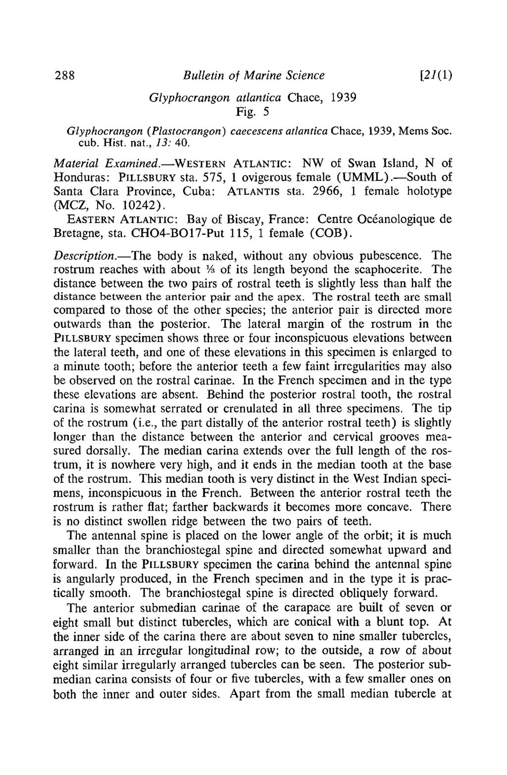 288 Bulletin of Marine Science Glyphocrangon atlantica Chace, 1939 Fig. 5 [21(1) Glyphocrangon (Plastocrangon) caecescens atlantica Chace, 1939, Mems Soc. cub. Rist. nat., 13: 40. Material Examined.
