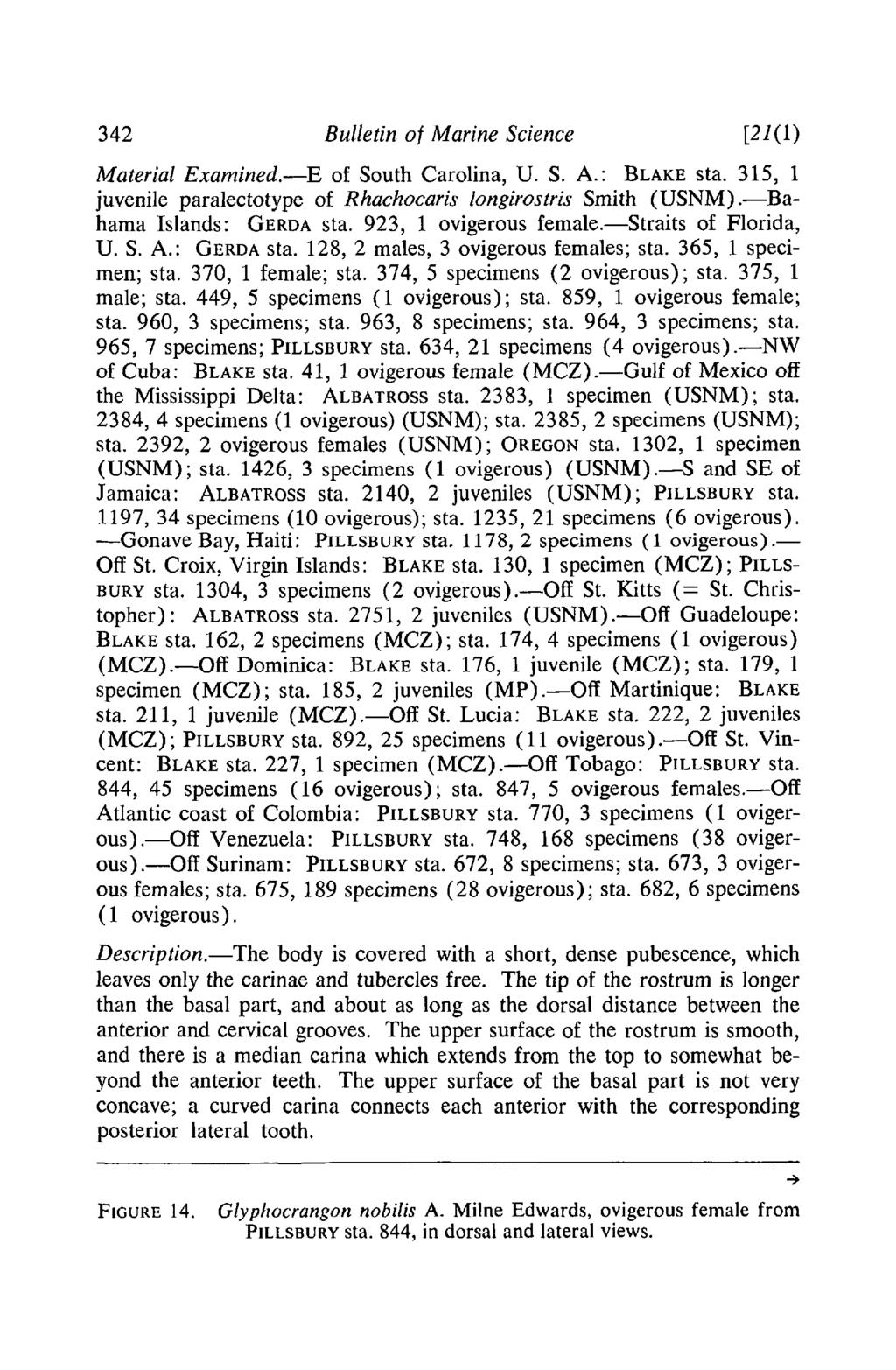 342 Bulletin of Marine Science [21(1) Material Examined.-E of South Carolina, U. S. A.: BLAKEsta. 315, 1 juvenile paralectotype of Rhachocaris longirostris Smith (USNM).-Bahama Islands: GERDAsta.
