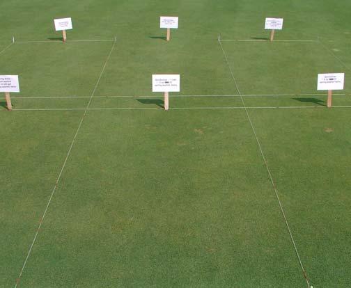 Image 2. Baking soda, a herbicide, and fungicide treatments of a moss study visible on the annual field day at CDGA's 3-hole Sunshine Golf Course in Lemont, IL during September, 2006.