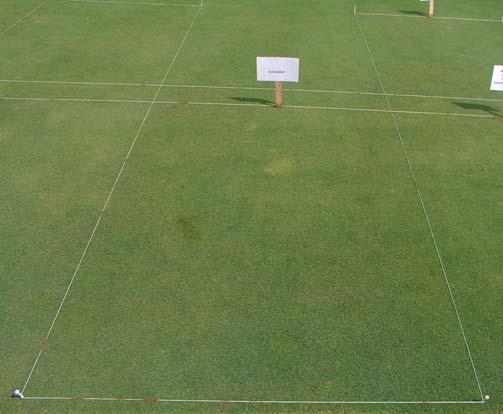 Every two weeks preceding treatment application, moss diameter was measured and rated for health (0-4 scale; 4 = best).