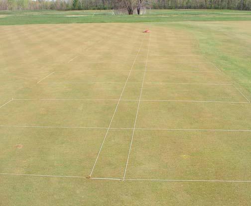 A four-inch-diameter plug containing silvery thread moss was transferred to each plot of a study conducted on a bentgrass green at CDGA's 3-hole Sunshine Golf Course in Lemont, IL during April, 2006.