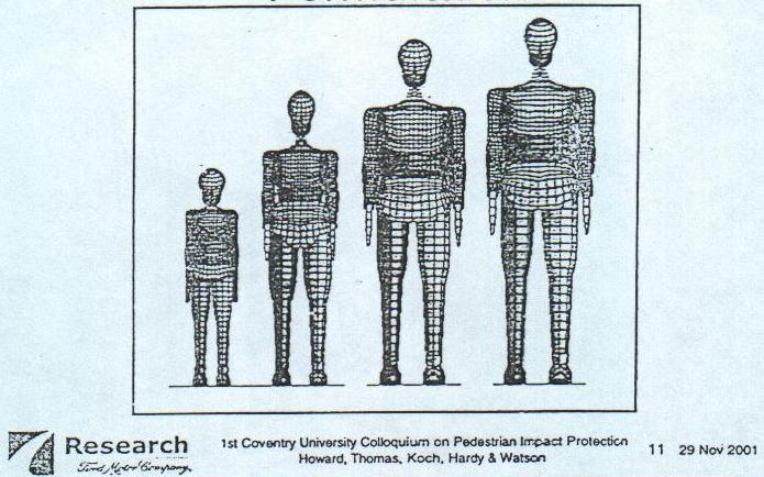 Humanoid Model -- Formulation Basis: 50 th percentile humanoid model Scaling Program Children (3-15) Adult
